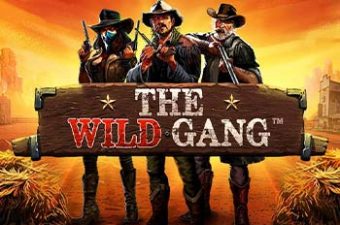 The Wild Gang